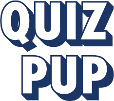Quiz